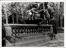 Foto Springreiten, Sprung