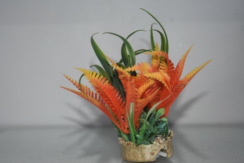 Aquarium grün orange - aquarium,