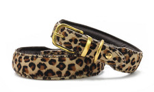 Maul lederhalsband leopard aus - lederhalsband,