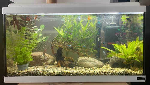 Aquatlantis advance led - advance, 60