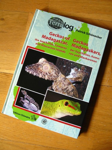 Geckos madagaskars der - geckos, madagaskars,der