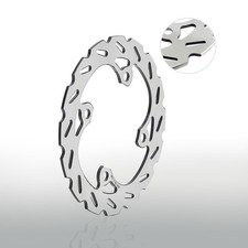 QUAD Bremsscheibe hinten für