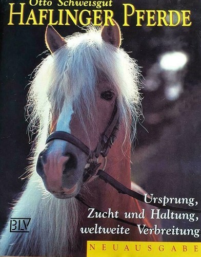 Haflinger pferde otto - pferde,