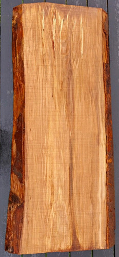 Buche holzbrett bohle - buche, mit