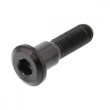 Bremsscheibenschraube hinten