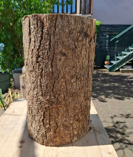Deko massiver baumstamm - deko,