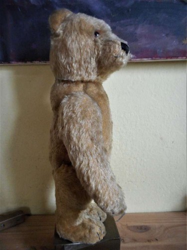 Steiff teddy älterer bär - steiff,