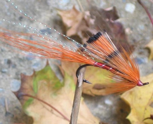 Gilchrist fliegen stück - 3,