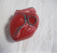 Altes Herz-Modell von BYK