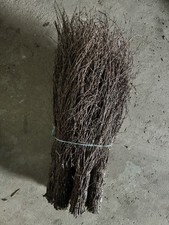 Hexenbesen Besen Reeisebesen