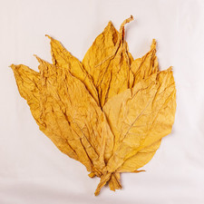 Virginia-Gold-Tabakblätter