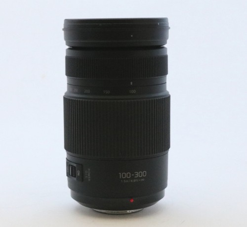 Panasonic lumix vario - g,