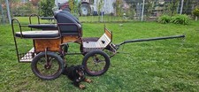 Kutsche für shettys cm - für, ab