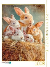 CALVENDO Puzzle Kaninchen |