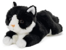 Katze liegend schwarz - liegend, schwarz/weiß