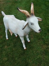Ziege lebensgroß Ziege