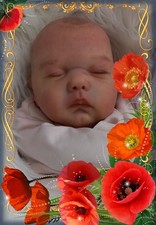 Reborn Baby Willa von Cassie