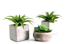 Kunstblumen im Topf Kunstpflanze ( 3er Set. ) Topfplanze Kaktus