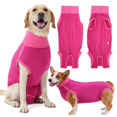 Hunde nach kastration - nach, und