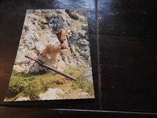 Marie Versini     Sammler