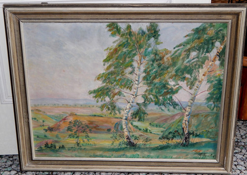 Alfred fuchs 1877 - 1877,