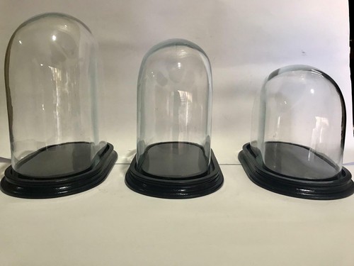 Dome glas glocke haube - glas, oval