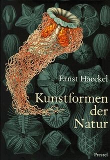 Ernst haeckel kunstformen - ernst,