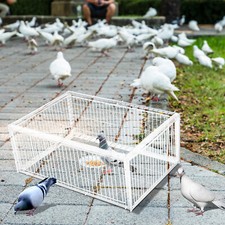 Kleinvogelkäfig taubenfalle - kleinvogelkäfig,