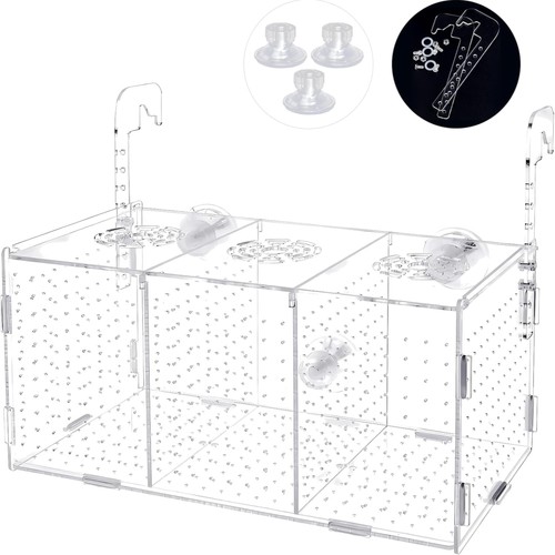 Fischzucht box aquarium - fischzucht,