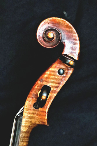 Old violin lab simpertus - violin, lab.