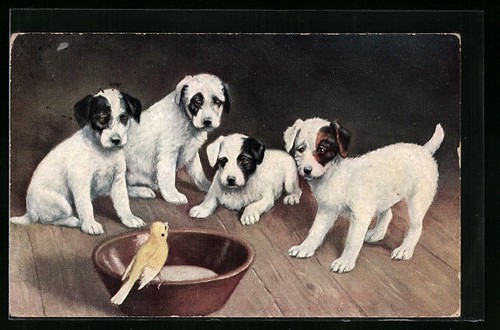 Hundewelpen und vorwitziger