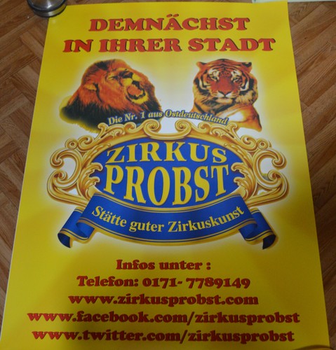 Zirkus probst plakat neu - plakat,