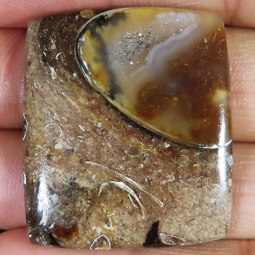 Natürlich fossil druzy - natürlich,