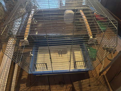 Vogelkäfig wellensittiche - vogelkäfig, &