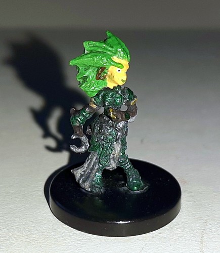 Lini gnome druid - gnome,