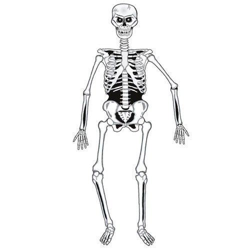 Skelett deko halloween - xl,