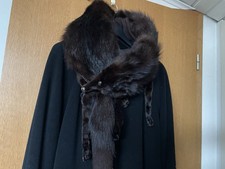 Schöner Schwarzbrauner