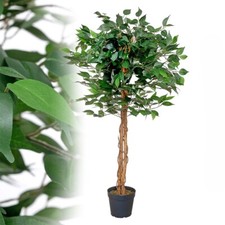 künstlicher Ficus grün 120
