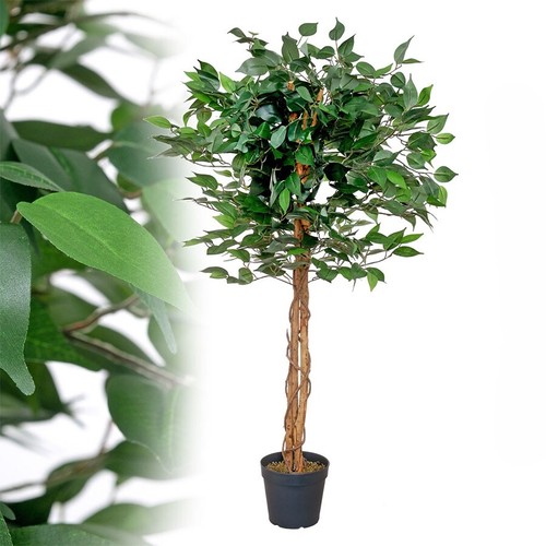 Künstlicher ficus grün 120 - künstlicher,