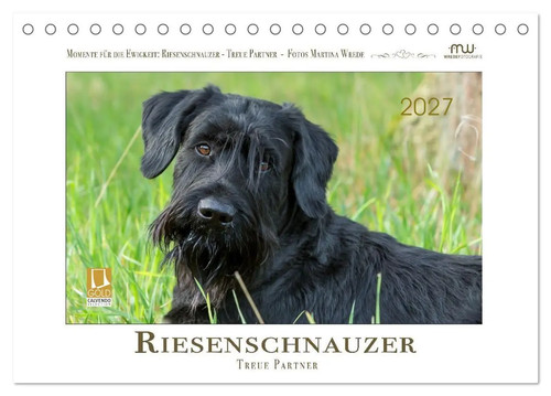 Riesenschnauzer treue - riesenschnauzer,