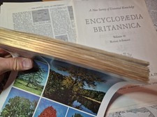 100 Blatt Papier aus