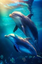 Wandbild: Delphin im Meer unter Wasser. Generative KI. hochwertige [...]