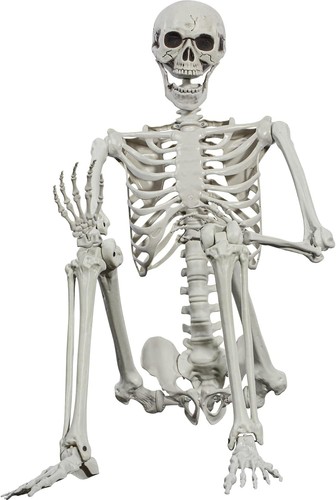Halloween skelett 165cm - halloween-skelett,