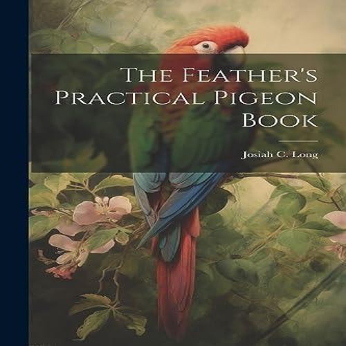 The feather practical pigeon - feather's,