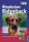 Rhodesian ridgeback - rhodesian,