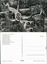 Kleinwelka Mały Wjelkow