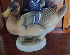 GROSSE ENTE VON GOEBEL