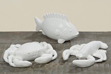 Meerestier porzellan krabbe - meerestier,