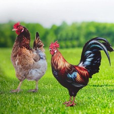 Hahn Henne Statue Garten Kunst