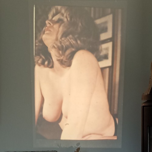 Dia slide akt frau nackt - dia, nude